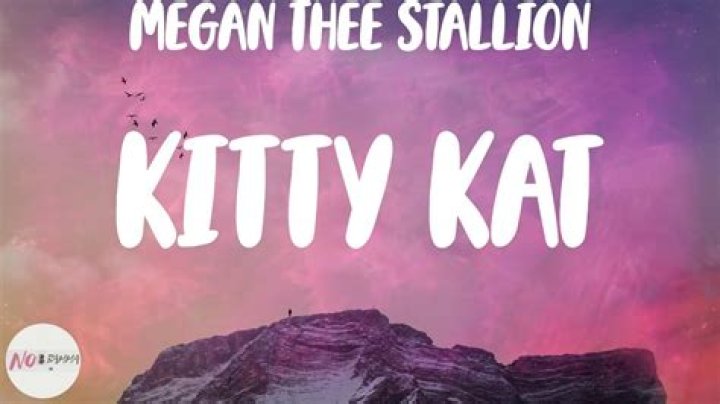 LYRICS: Megan Thee Stallion – Kitty Kat