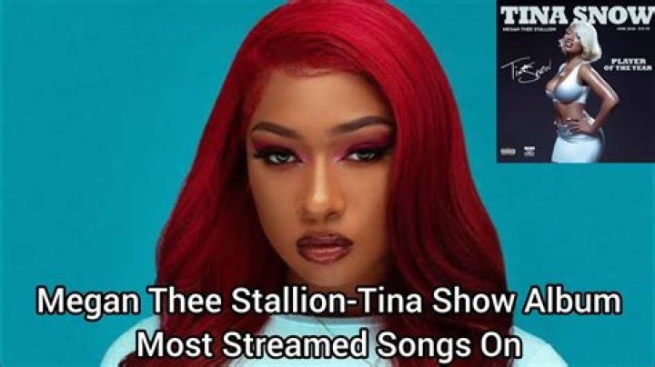 LYRICS: Megan Thee Stallion – Tina Snow