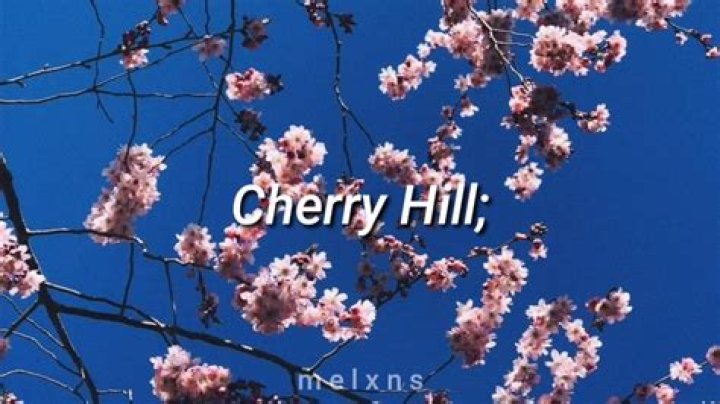 LYRICS: Russ – Cherry Hill