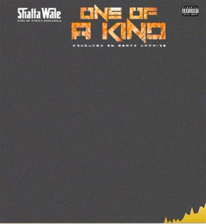 LYRICS: Shatta Wale – One Of A Kind