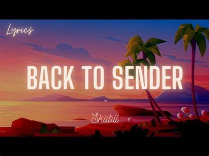 LYRICS: Skiibii – Back To Sender