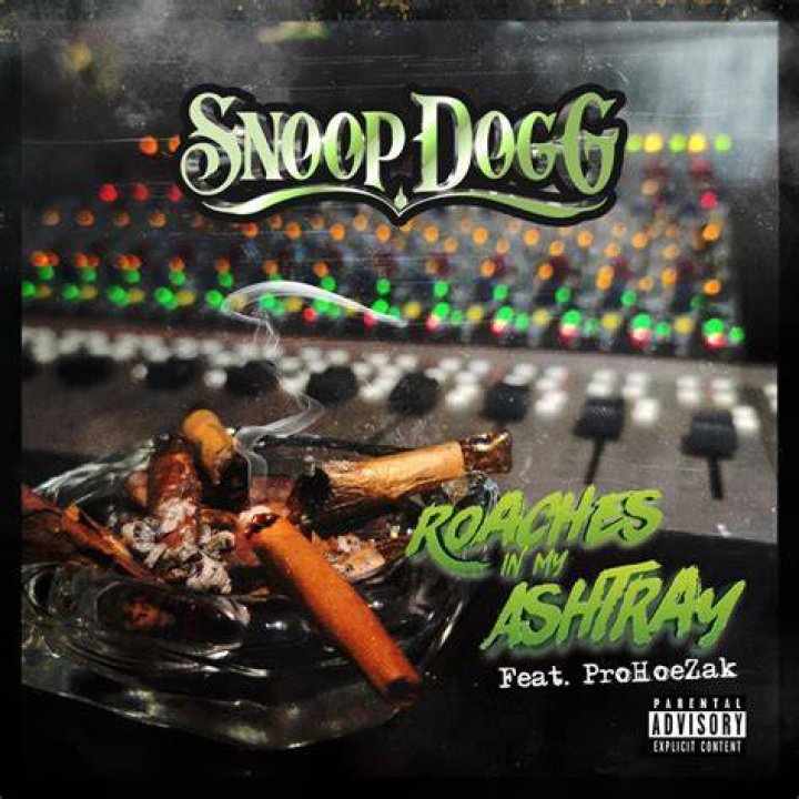 LYRICS: Snoop Dogg ft ProHoeZak – Roaches In My Ashtray