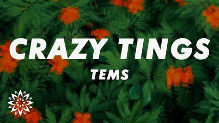 LYRICS: Tems – Crazy Tings