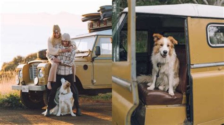 Meet Jenna Phillips, TikToker who quit job to be a full-time puppy, Brief Intro 