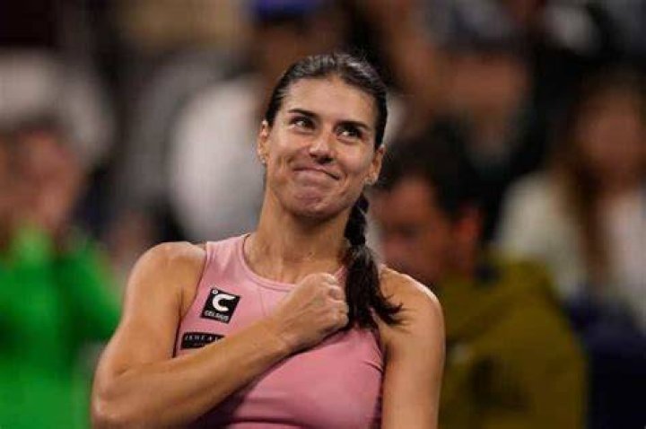 Meet Mihai Cirstea, the Father of Sorana Cîrstea: Biography, Net Worth & more