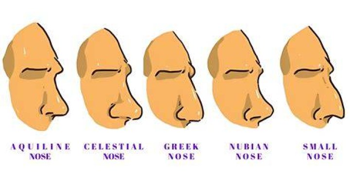 Men With Big Nose Have Big And Strong Manhood, New Study