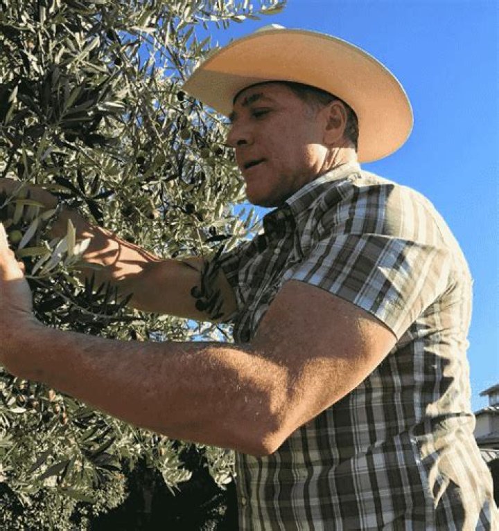Michael Chiarello Son: Who Is Aidan Chiarello?