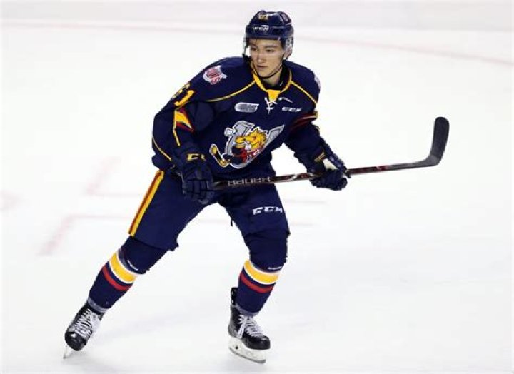 Nick Suzuki Siblings: Meet Ryan Suzuki