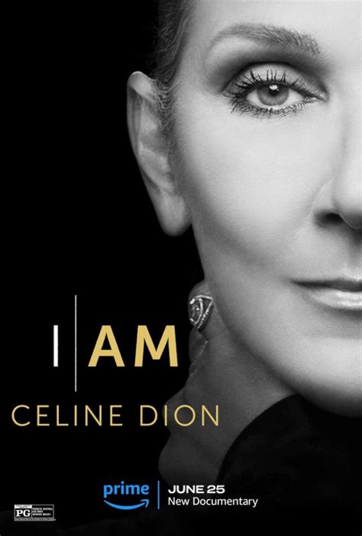 Nigerian Celebrities Blast Celine Dion For This Reason