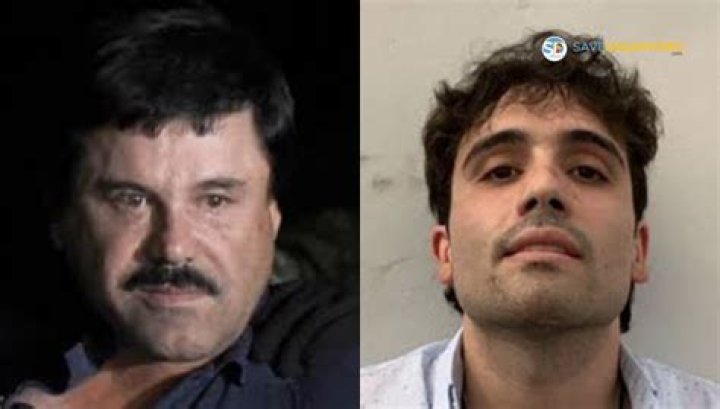 Ovidio Guzman Parents: Who Are Ovidio Guzman Parents?