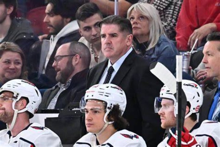 Peter Laviolette Teams Coached