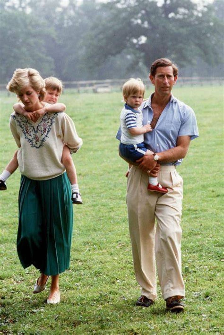 Princess Diana Children: Meet Prince Harry And Prince Charles