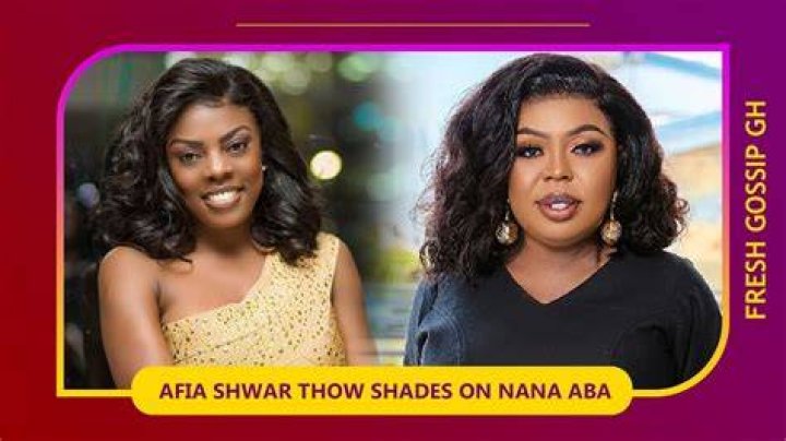 Release The Audio – Afia Schwar Dares Snapchat User For Alleging She Was Paid To Sabotage John Mahama