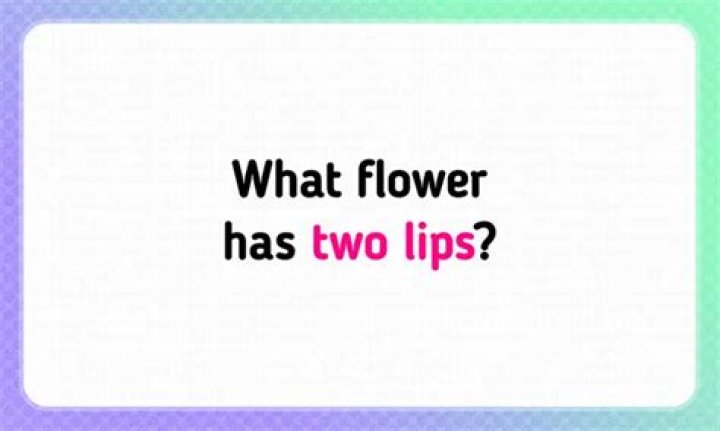 Riddle Riddle!! Which Flowers Have Two Lips?