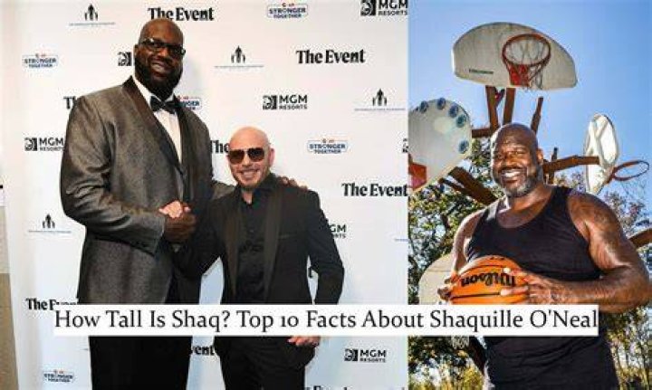 Saud Shakeel Height: How Tall is Saud Shakeel?