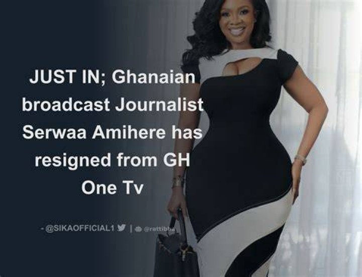 Serwaa Amihere Would Have Resigned By Now If This Had Happened In America- Archipalago Fumes