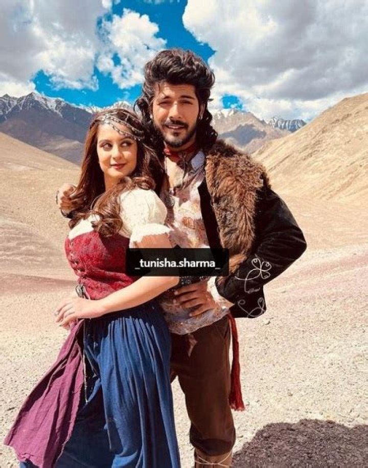 Sheezan Khan Wife: Is Sheezan Khan Married?