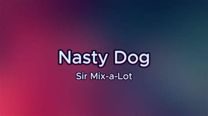 Sir Mix-A-Lot’s
You Can Have Her Lyrics