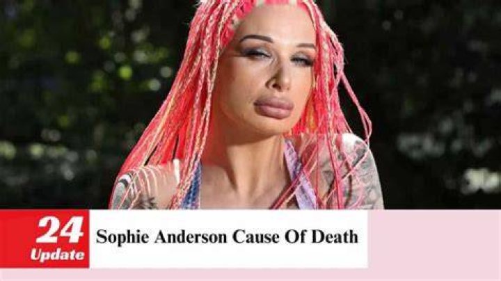 Sophie Anderson Death: Who Killed Sophie Anderson?