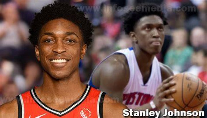 Stanley Johnson Net Worth: How Much Is Stanley Johnson Worth?
