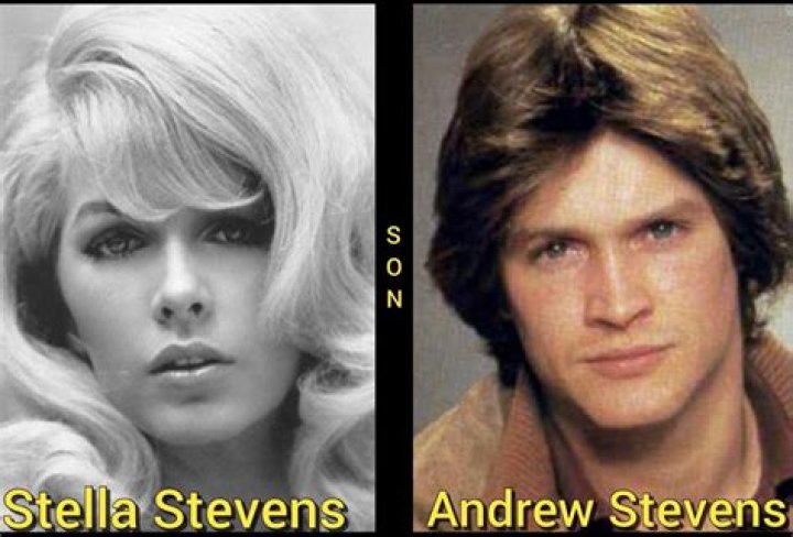 Stella Stevens Children: Meet Andrew Stevens