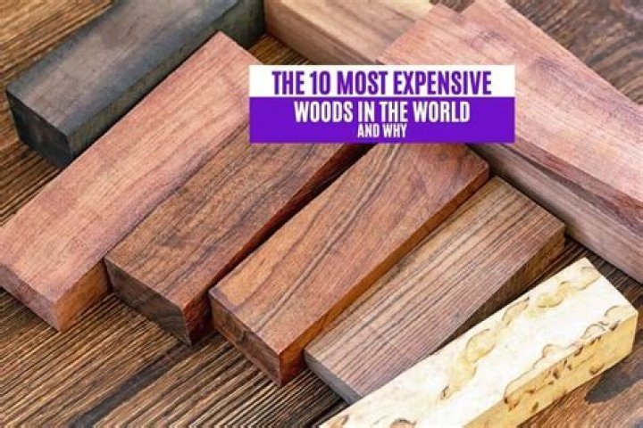 The 10 Most Expensive Woods in the World