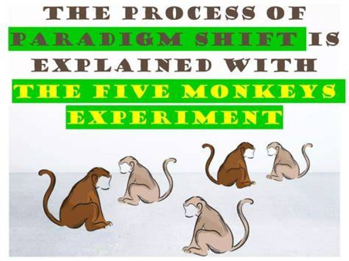 The 5 Monkey Experiment: Here’s Why Most Africans Follow Religion And Politics Blindly