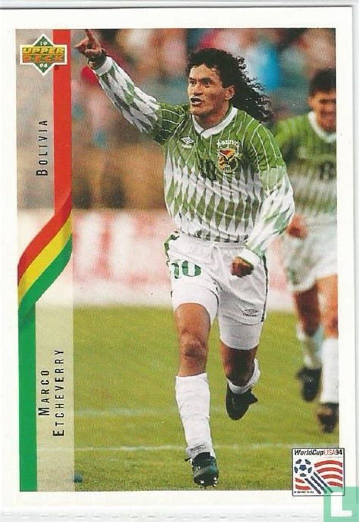 The brief story of Marco Etcheverry in a FIFA World Cup