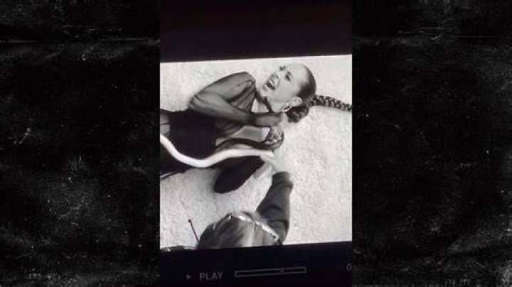 The Scary Moment A Snake Bit Singer Maeta’s Face During A Video Shoot