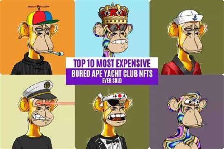 These Are The Most Expensive Bored Ape Yacht Club NFTs