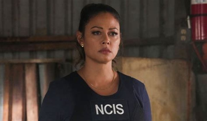 Vanessa Lachey Net Worth: How rich is Vanessa Lachey?