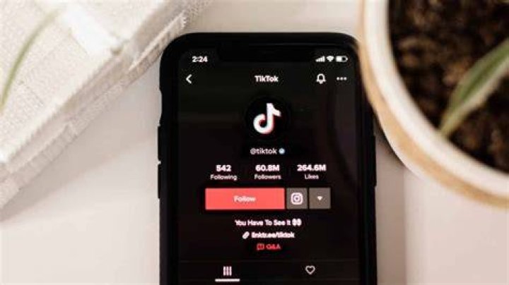 What does W mean on TikTok: All You Need To Know