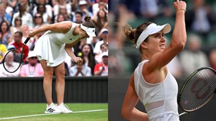 What is Elina Svitolina's Net Worth?