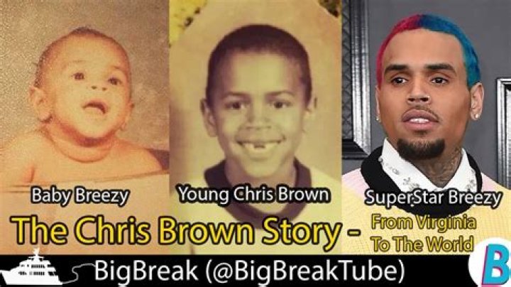When did Chris Brown come out as a musician?