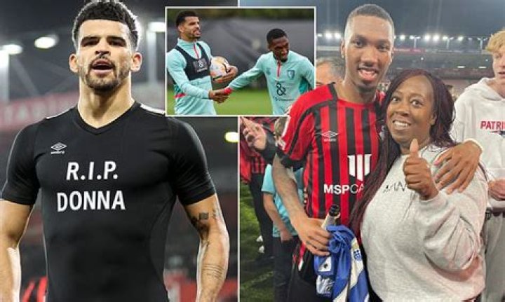 Who are Dominic Solanke’s Parents?