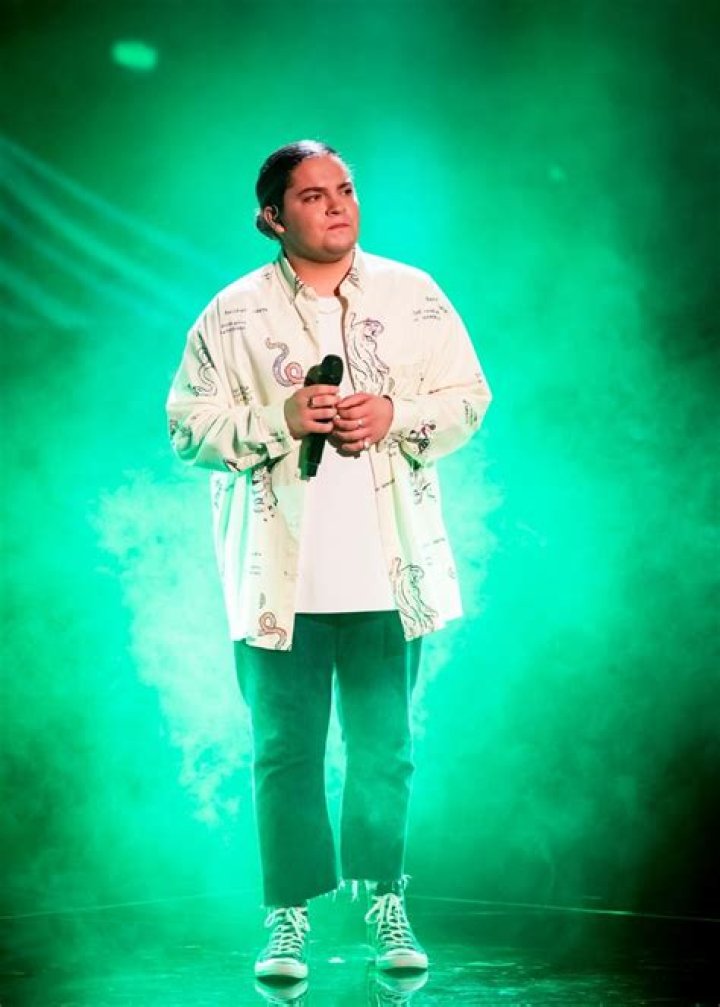 Who Is Arlo Sim From The Voice Australia? Meet The Singer On Instagram