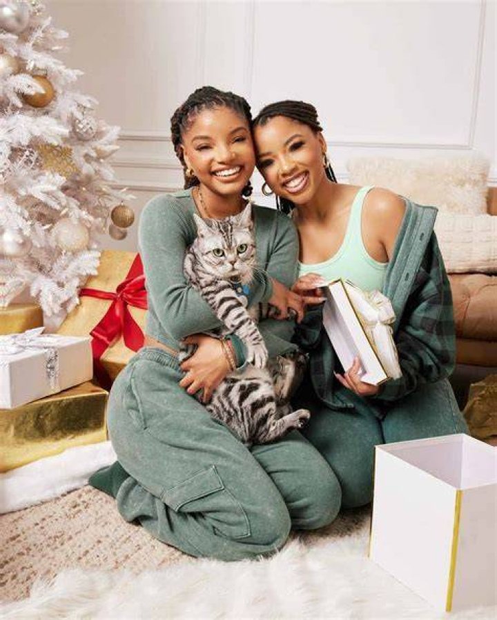 Who Is Halle Bailey? Bio, Age, Career, Net Worth, Family