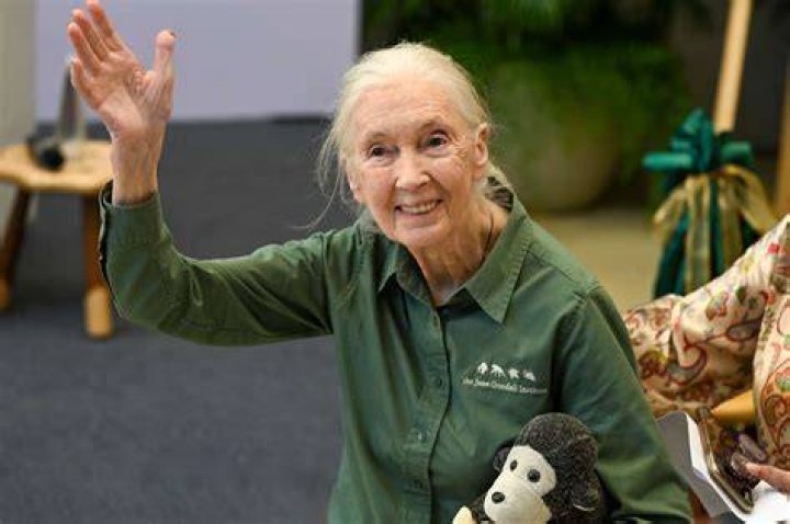 Who Is Jane Goodall? Is Jane Goodall Alive?