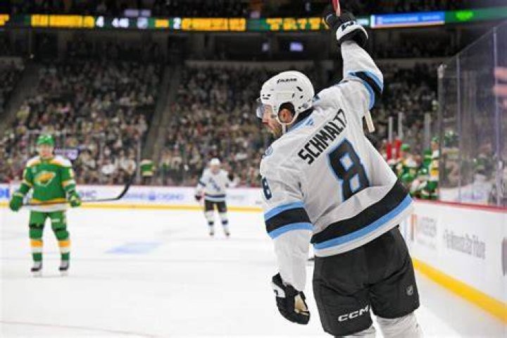 Who is Nick Schmaltz: Biography, Net Worth & more