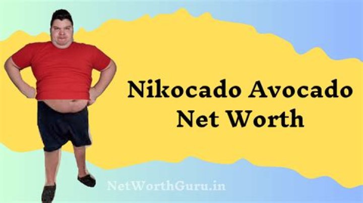 Who is Nikocado Avocado: Biography, Net Worth & more