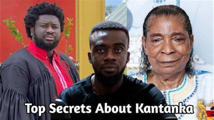 ‘Your Father Left No Legacy For You’- Kantanka’s Grandchildren Take The War To Afia Schwar